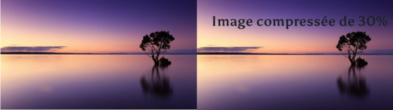optimisation d'images