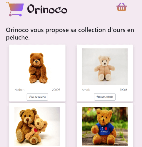 Site web e-commerce Orinoco