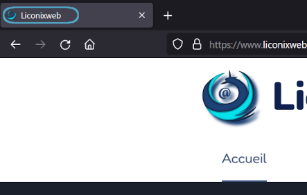 Favicon personnalisé mise en avant