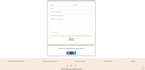 Widgets des réseaux sociaux