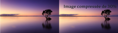 optimisation d'images